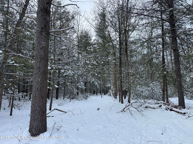 171 Renner Road, Mountain Dale, NY 12763