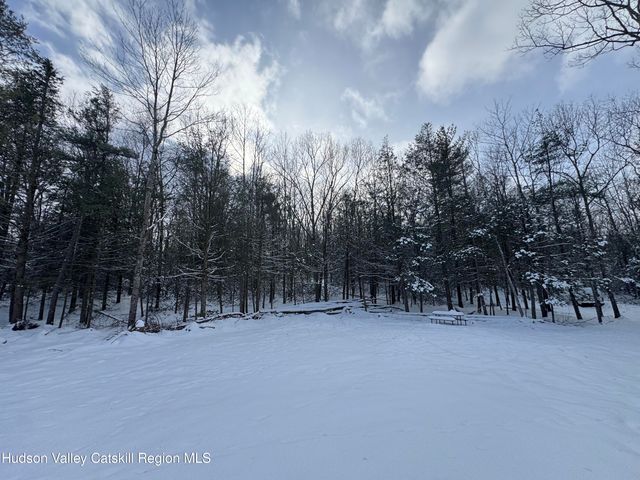 171 Renner Road, Mountain Dale, NY 12763