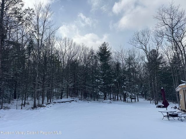 171 Renner Road, Mountain Dale, NY 12763