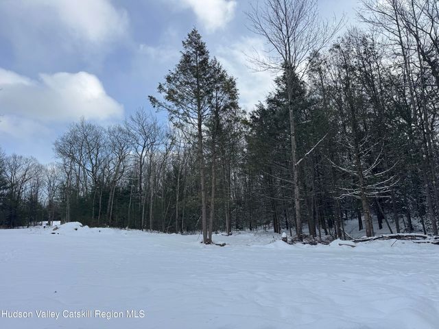 171 Renner Road, Mountain Dale, NY 12763