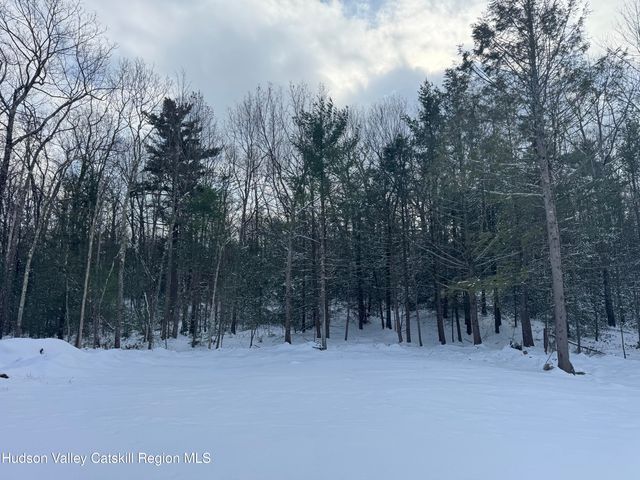 171 Renner Road, Mountain Dale, NY 12763