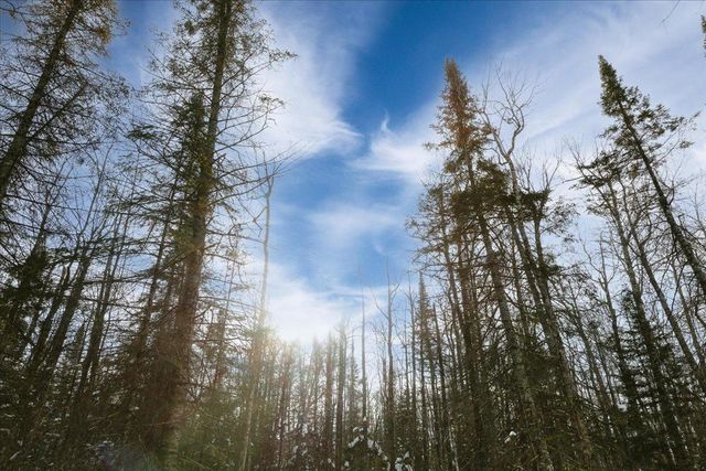 6100 Herranen Road, Cromwell, MN 55726