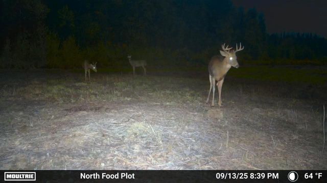 6100 Herranen Road, Cromwell, MN 55726