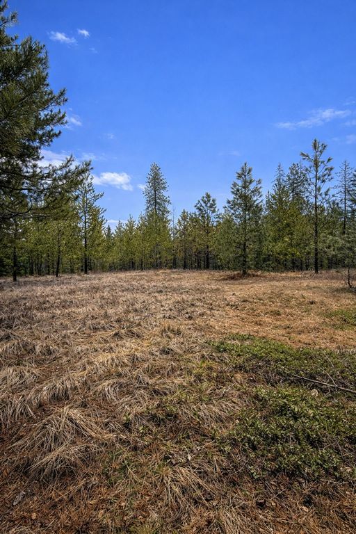 1420 Driskill Rd, Newport, WA 99156