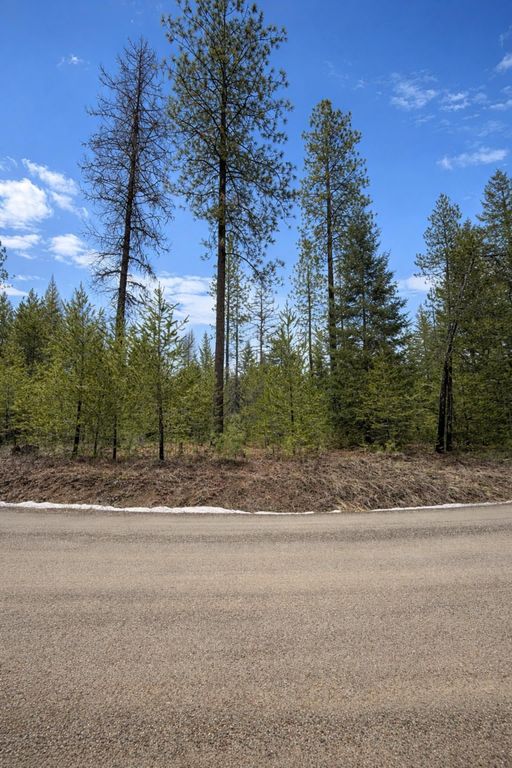 1420 Driskill Rd, Newport, WA 99156 photo 2