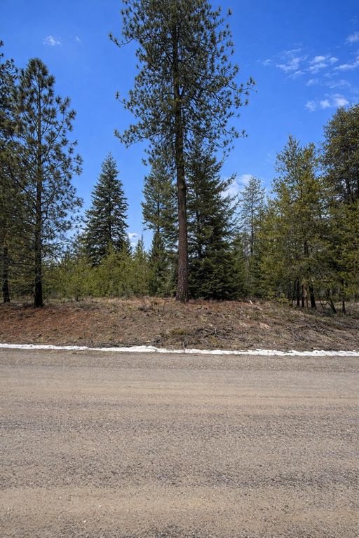 1420 Driskill Rd, Newport, WA 99156 photo 4