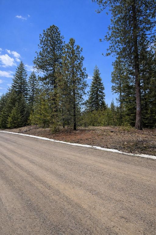 1420 Driskill Rd, Newport, WA 99156 photo 5