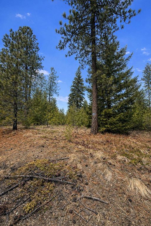 1420 Driskill Rd, Newport, WA 99156 photo 6