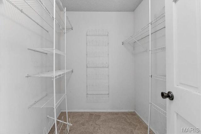 14731 Philip Meadows Court, Florissant, MO 63034