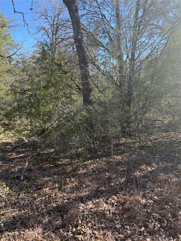 Lot 110 Wailupe CIR, Bastrop, TX 78602