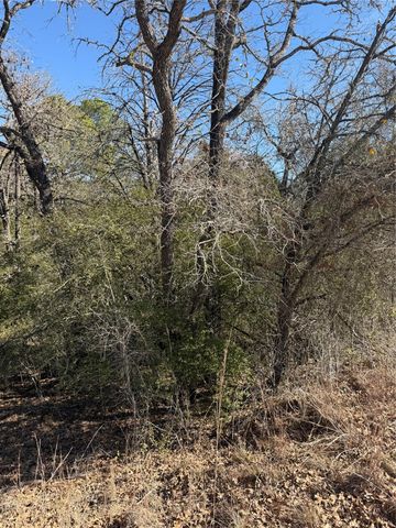 Lot 110 Wailupe CIR, Bastrop, TX 78602