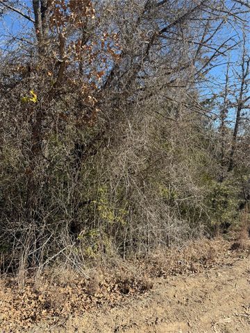 Lot 110 Wailupe CIR, Bastrop, TX 78602