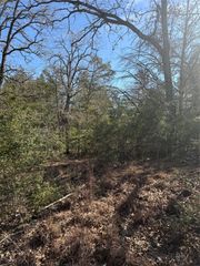 Lot 110 Wailupe CIR, Bastrop, TX 78602