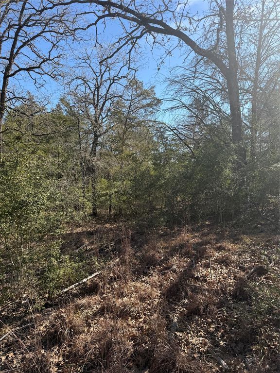 Lot 110 Wailupe CIR, Bastrop, TX 78602