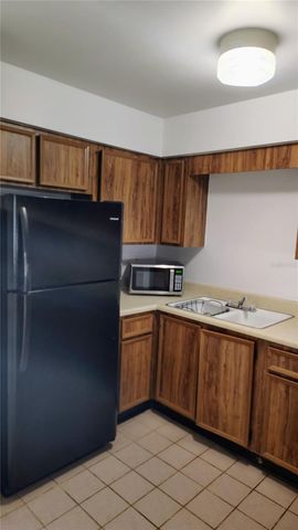 6 LAKE VILLA WAY, Kissimmee, FL 34743