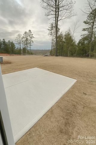 14229 Whistling Teal Drive, Charlotte, NC 28262