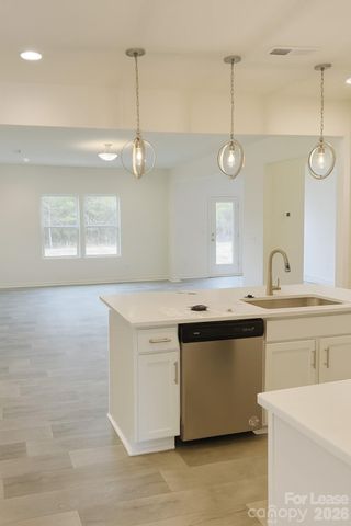 14229 Whistling Teal Drive, Charlotte, NC 28262