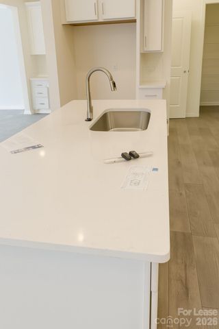 14229 Whistling Teal Drive, Charlotte, NC 28262