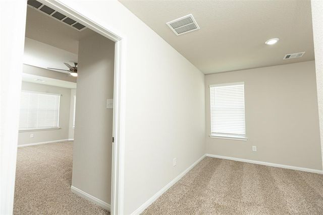 14039 Mount Hunter Drive, Willis, TX 77318