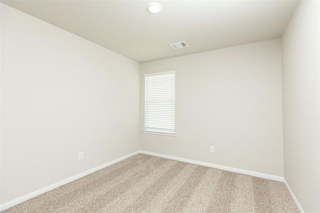14039 Mount Hunter Drive, Willis, TX 77318