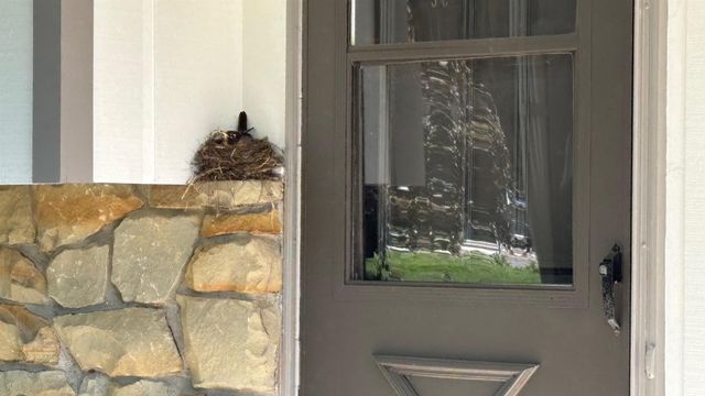 720 S Westwood Drive, Bloomington, IN 47403