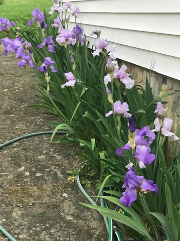 965 Signal Road, Signal Mountain, TN 37377