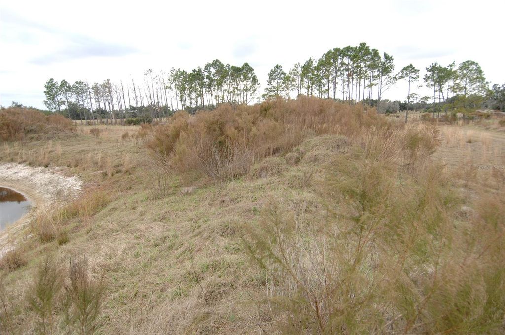 Image 43 of property listing at 14780 SUGAR BOWL ROAD, Myakka City, FL 34251