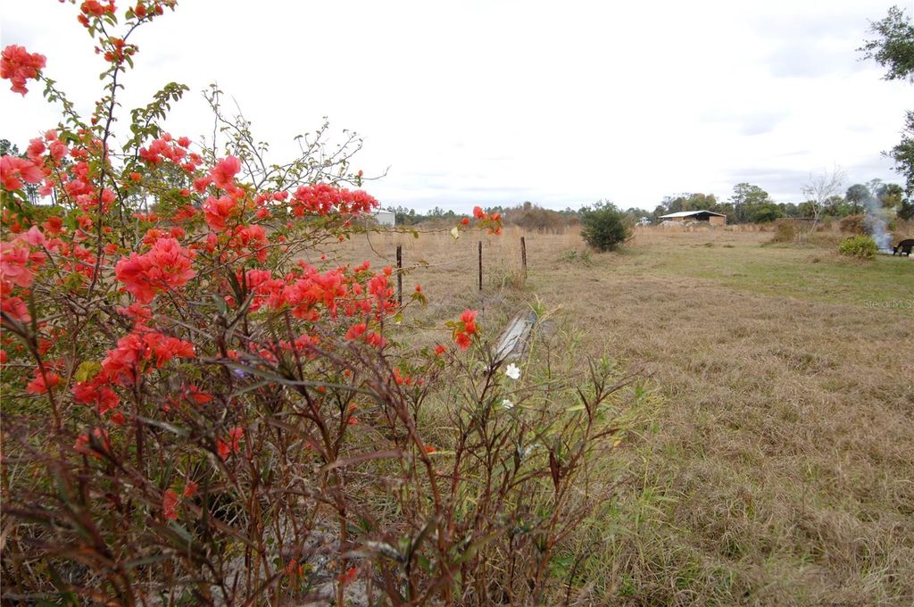 Image 51 of property listing at 14780 SUGAR BOWL ROAD, Myakka City, FL 34251