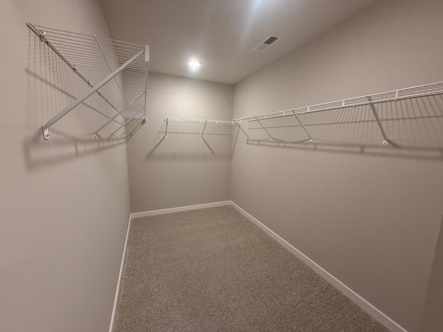 15040 Athenry Bay, Rosemount, MN 55068