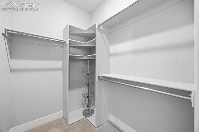 15637 Native Willow Drive, Monument, CO 80132