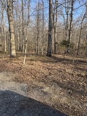 0 Bucksnort Dr, Ashland City, TN 37015
