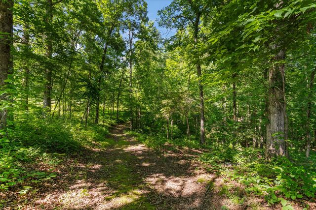 7865 Barnhill Rd, Primm Springs, TN 38476