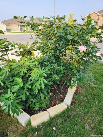 13215 Turnesa Terrace, San Antonio, TX 78221
