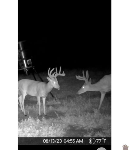 400 Jeff Clements, Marion, KY 42064