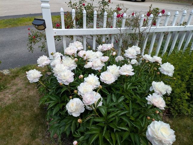 17 Keryn Ct, Northbridge, MA 01588
