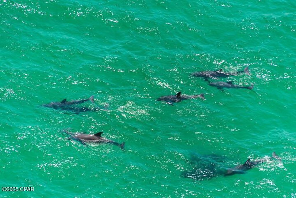 Image 29 of property listing at 16819 Front Beach Road 2106, Panama City Beach, FL 32413