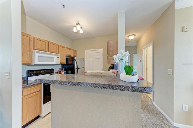 4802 51ST STREET W 1311, Bradenton, FL 34210