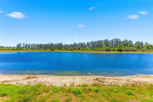 10378 GLIDING EAGLE WAY, Land O Lakes, FL 34638