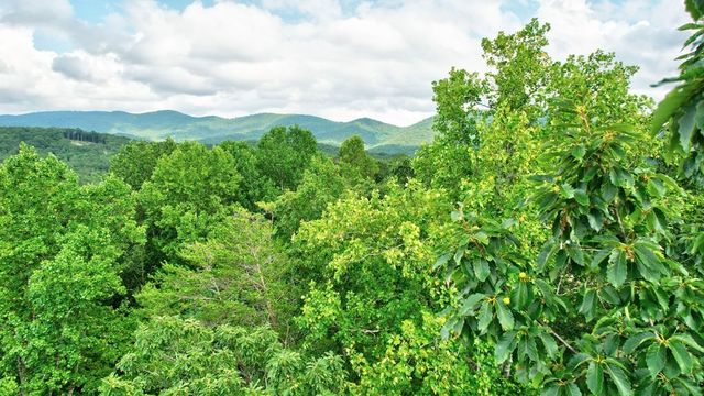 LT J350 Mountain View Court, Ellijay, GA 30540