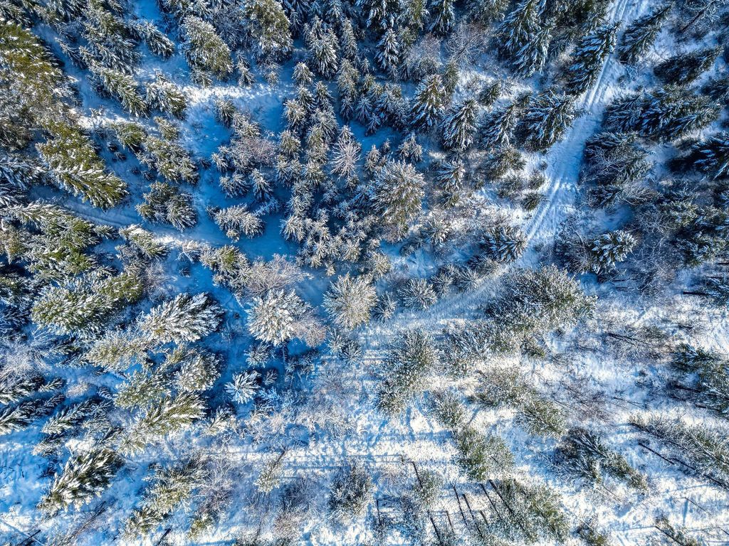 11315 US Highway 2 E, West Glacier, MT 59936 photo 13