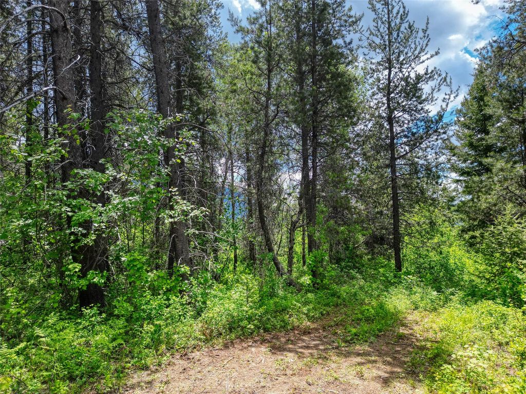 11315 US Highway 2 E, West Glacier, MT 59936 photo 36