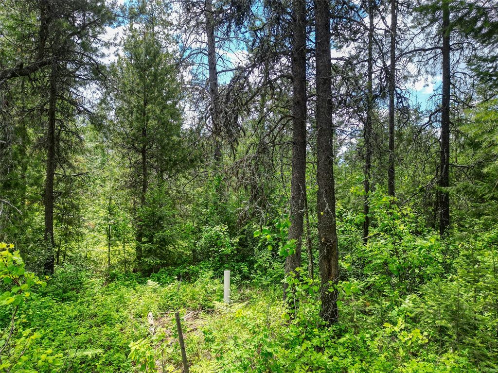 11315 US Highway 2 E, West Glacier, MT 59936 photo 37