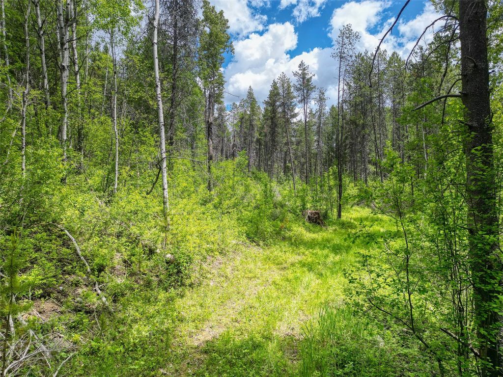 11315 US Highway 2 E, West Glacier, MT 59936 photo 41