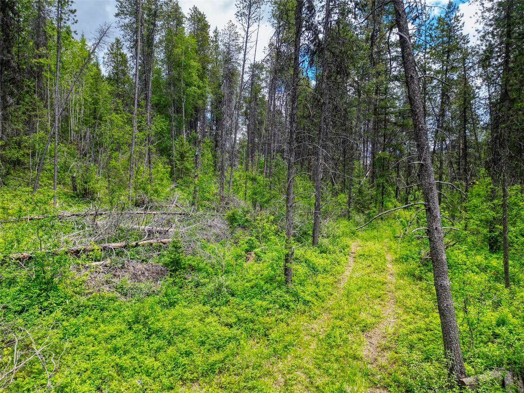 11315 US Highway 2 E, West Glacier, MT 59936 photo 43