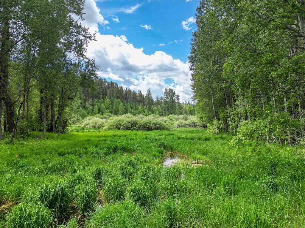 11315 US Highway 2 E, West Glacier, MT 59936 photo 47