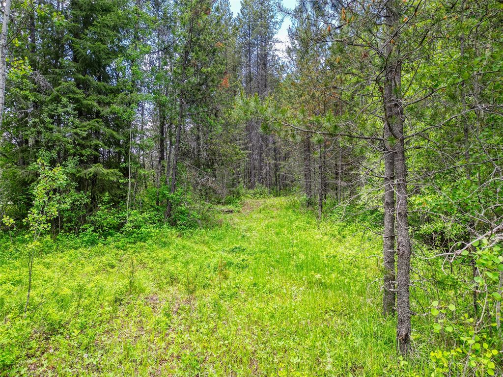 11315 US Highway 2 E, West Glacier, MT 59936 photo 55