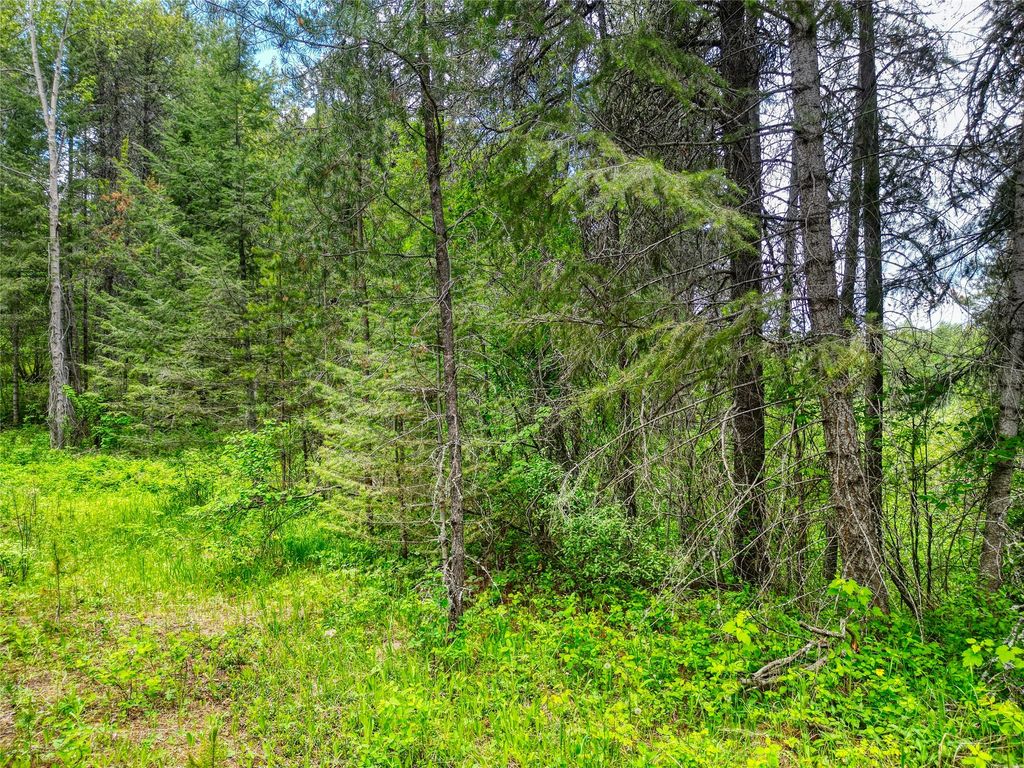 11315 US Highway 2 E, West Glacier, MT 59936 photo 56