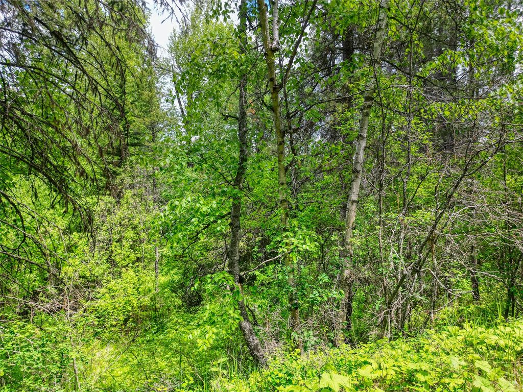 11315 US Highway 2 E, West Glacier, MT 59936 photo 58