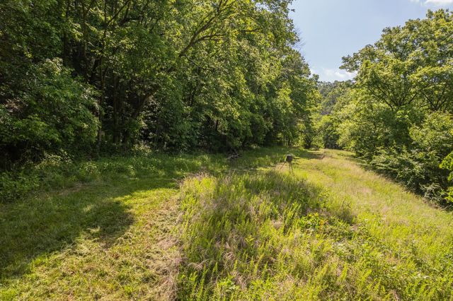 0 Haze Hyde Hollow Rd, Bethpage, TN 37022