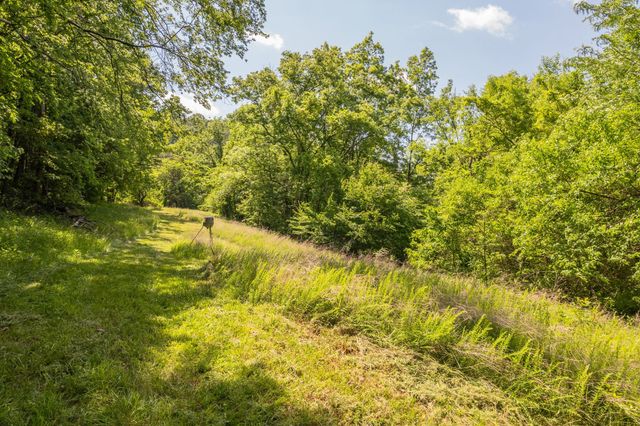 0 Haze Hyde Hollow Rd, Bethpage, TN 37022